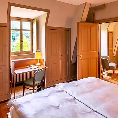 Schloss Schadau - Swiss Historic 3* ثون